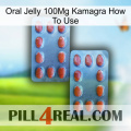 Oral Jelly 100Mg Kamagra How To Use 05